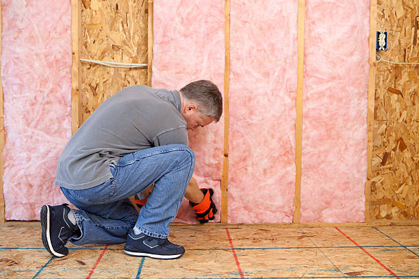 Best Insulation for Specific Applications in Doctor Phillips, FL